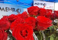 mehrsi-18.jpg