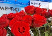 mehrsi-18.jpg