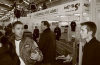 mehrsi-06.jpg