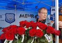mehrsi-16.jpg