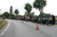 mehrsi-08.jpg