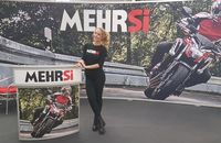 mehrsi-05.jpg