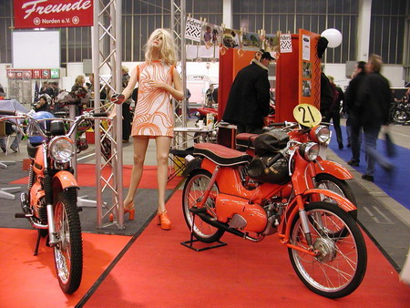 mehrsi-15.jpg